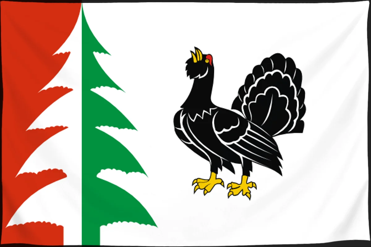 Флаг: Лесной муниципальный округ